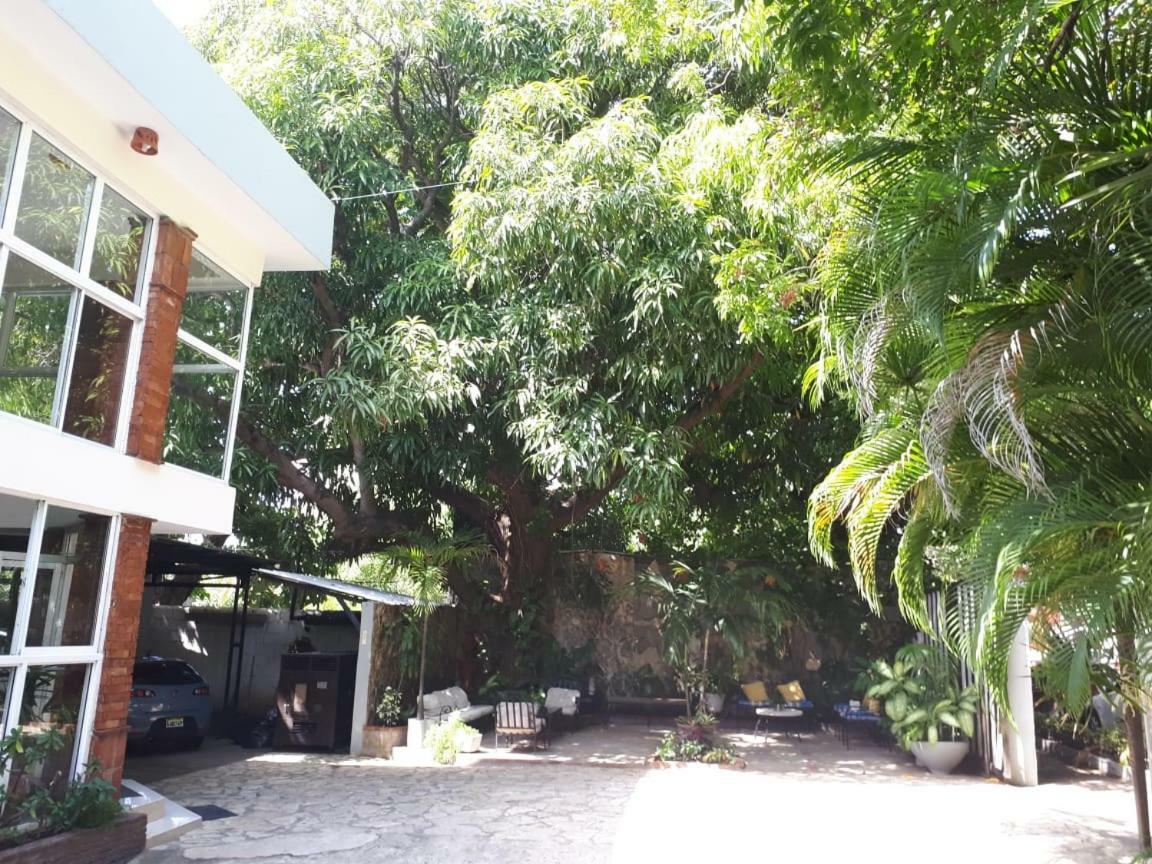 Hotel Alcaldeza - Garden House Maria Guadalupe Σάντο Ντομίγκο Εξωτερικό φωτογραφία